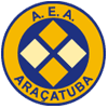 AE Araçatuba Academy